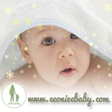  photo bannereconicebabycom.jpg